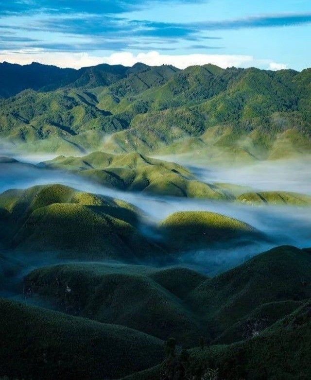 Seasonal wildflower carpets in Dzukou Valley between Nagaland and Manipur